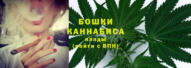 Бошки марихуана Amnesia  наркота  Курганинск 